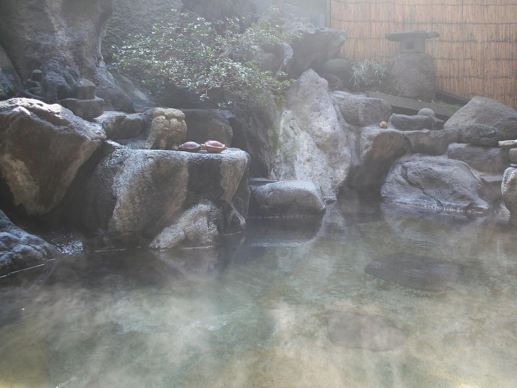 Sumiyosiya Ryokan Nozawa Luaran gambar